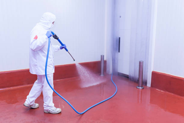 Best Warehouse Cleaning  in West Little River, FL
