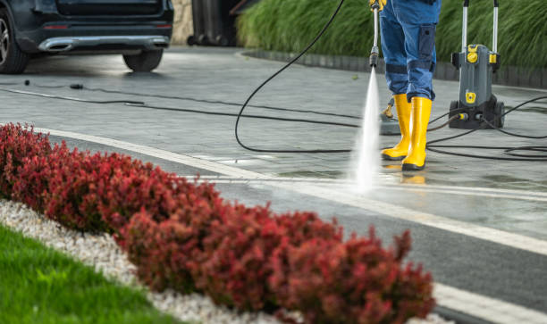 Best Solar Panel Cleaning  in West Little River, FL